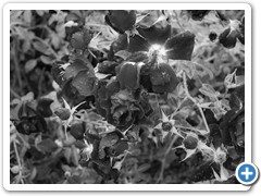 _DSC0269-Edit