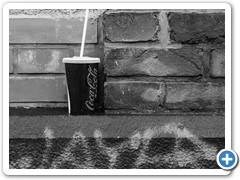 _DSC0272-Edit