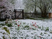 DSC0804
