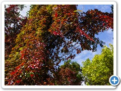 _DSC1108-Edit