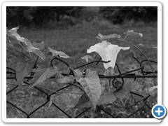 _DSC1150-Edit