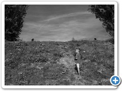 _DSC1356-Edit
