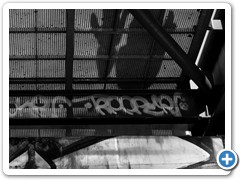 _DSC1366-Edit