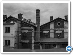 _DSC1499-Edit