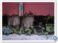 _DSC1501-Edit