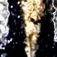Shroud of Turin