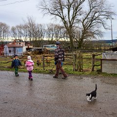 DSC1333