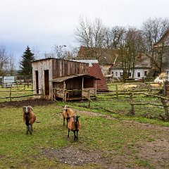 DSC1336