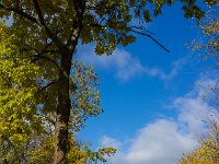 DSC0357