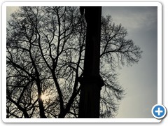 _DSC6089-1