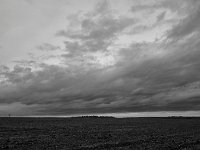 DSC6314