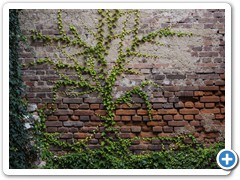 _DSC9399-Edit
