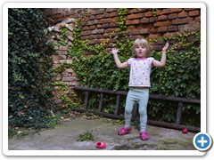 _DSC9482-Edit