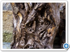 _DSC9519-Edit-2