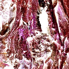 DSC5890 2