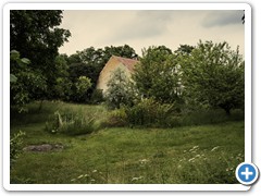 _DSC8693-1