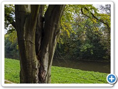 _DSC2392-Edit