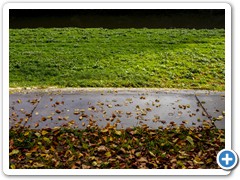 _DSC2393-Edit