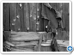 _DSC2481-Edit