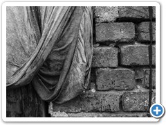 _DSC2486-Edit