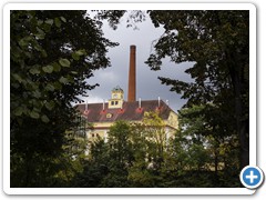 _DSC2513-Edit