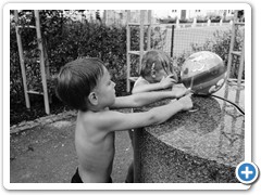 _DSC0455