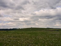DSC7169