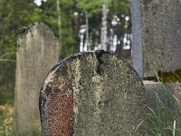 DSC7194