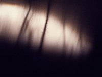 DSC7248