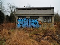DSC0650