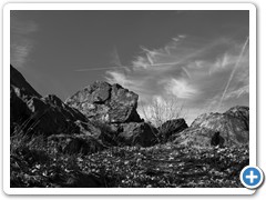 _DSC5737-1-2