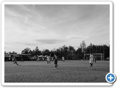 _DSC2291