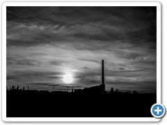 _DSC2299