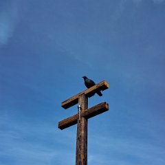 DSC7839