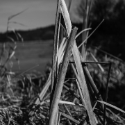 DSC3808-Edit