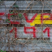DSC3652-Edit