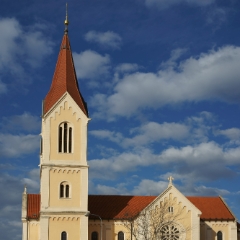 DSC0768(1)