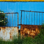 DSC6667-Edit