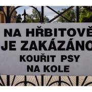kokoty