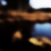 DSC3819-Edit