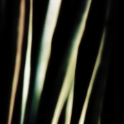 DSC4533-Edit