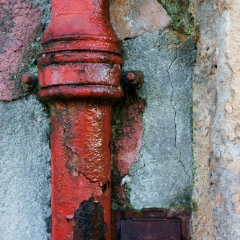 DSC0726
