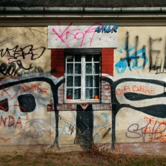 DSC0816