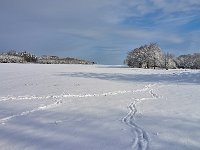 DSC3297