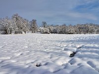 DSC3308