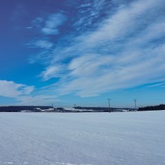 DSC9806
