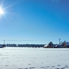 DSC9814