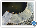 _DSC9180-Edit