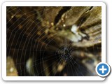 _DSC9192-Edit