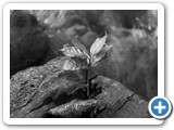 _DSC9200-Edit
